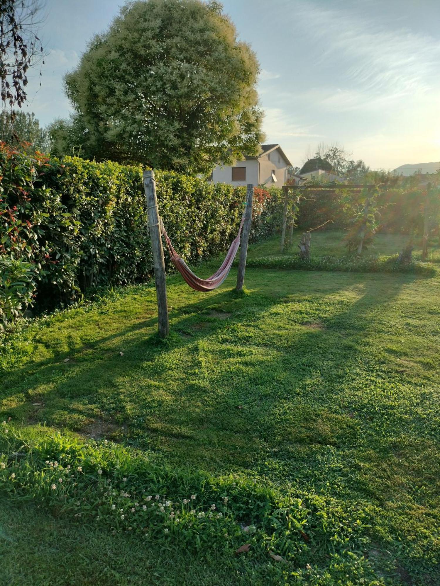 La Rosa Nel Lucca